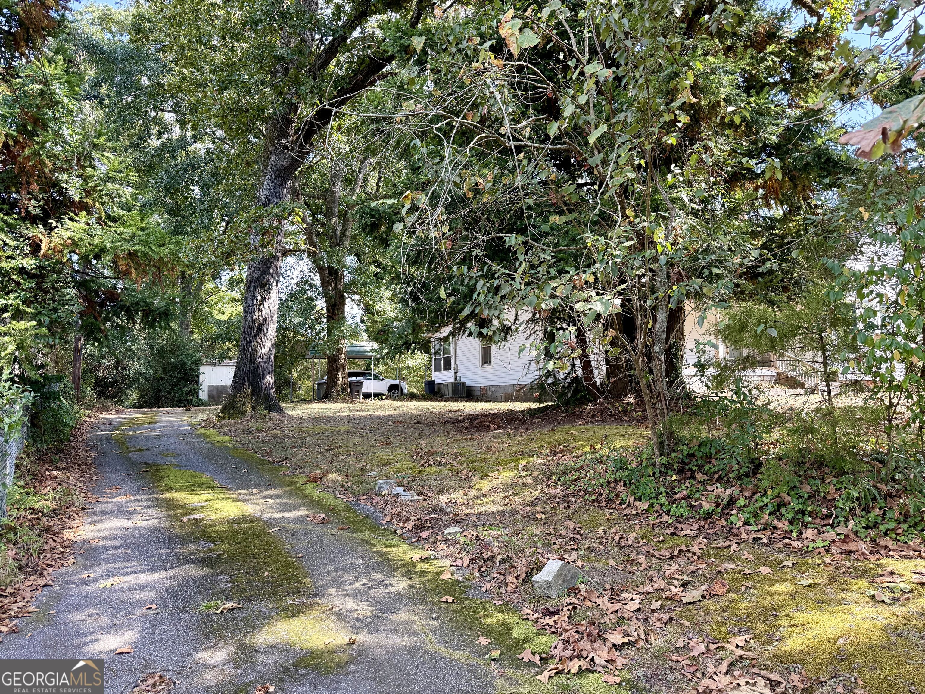 53 Ninth Street Carlton GA 30627