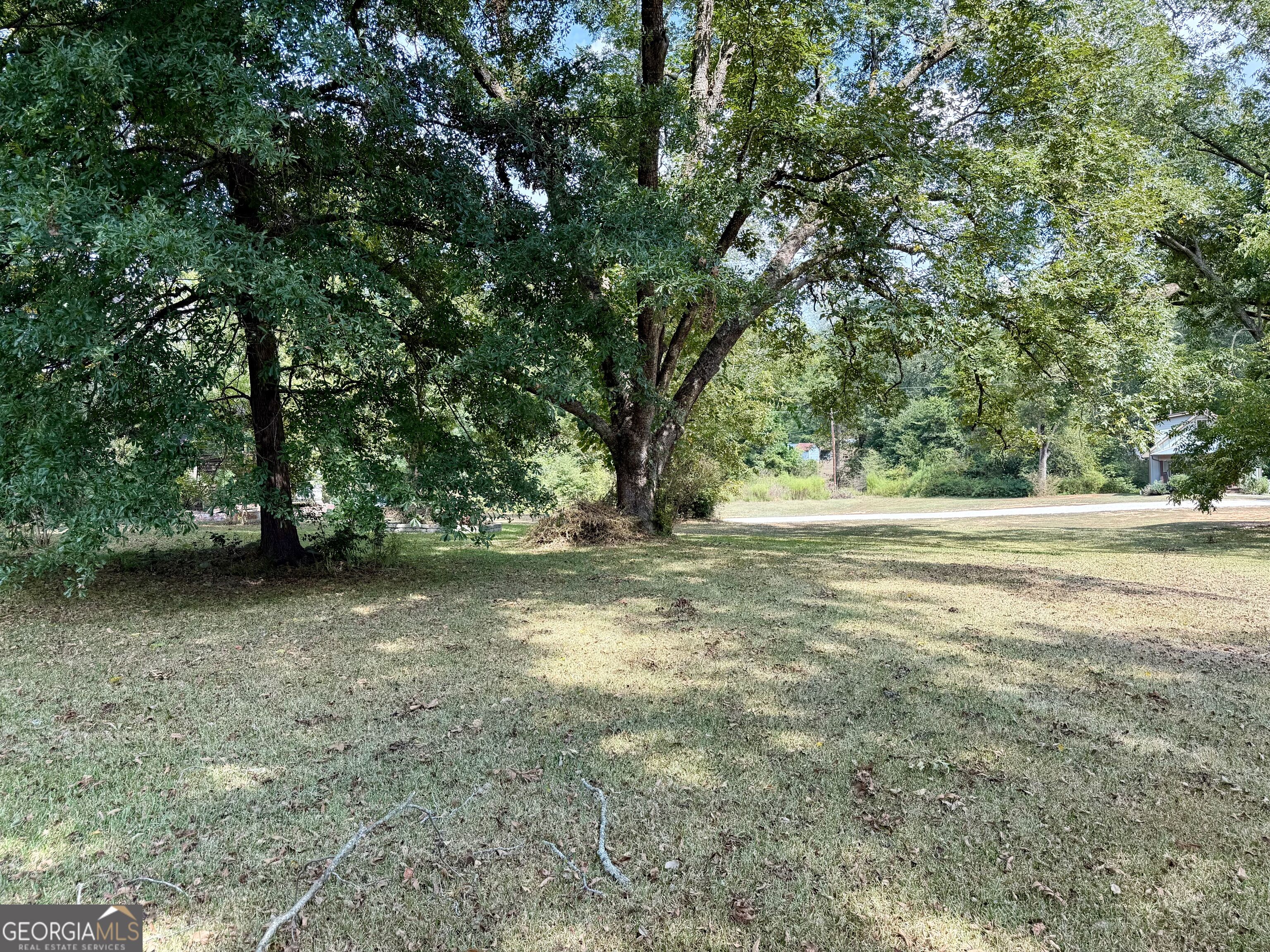 53 Ninth Street Carlton GA 30627