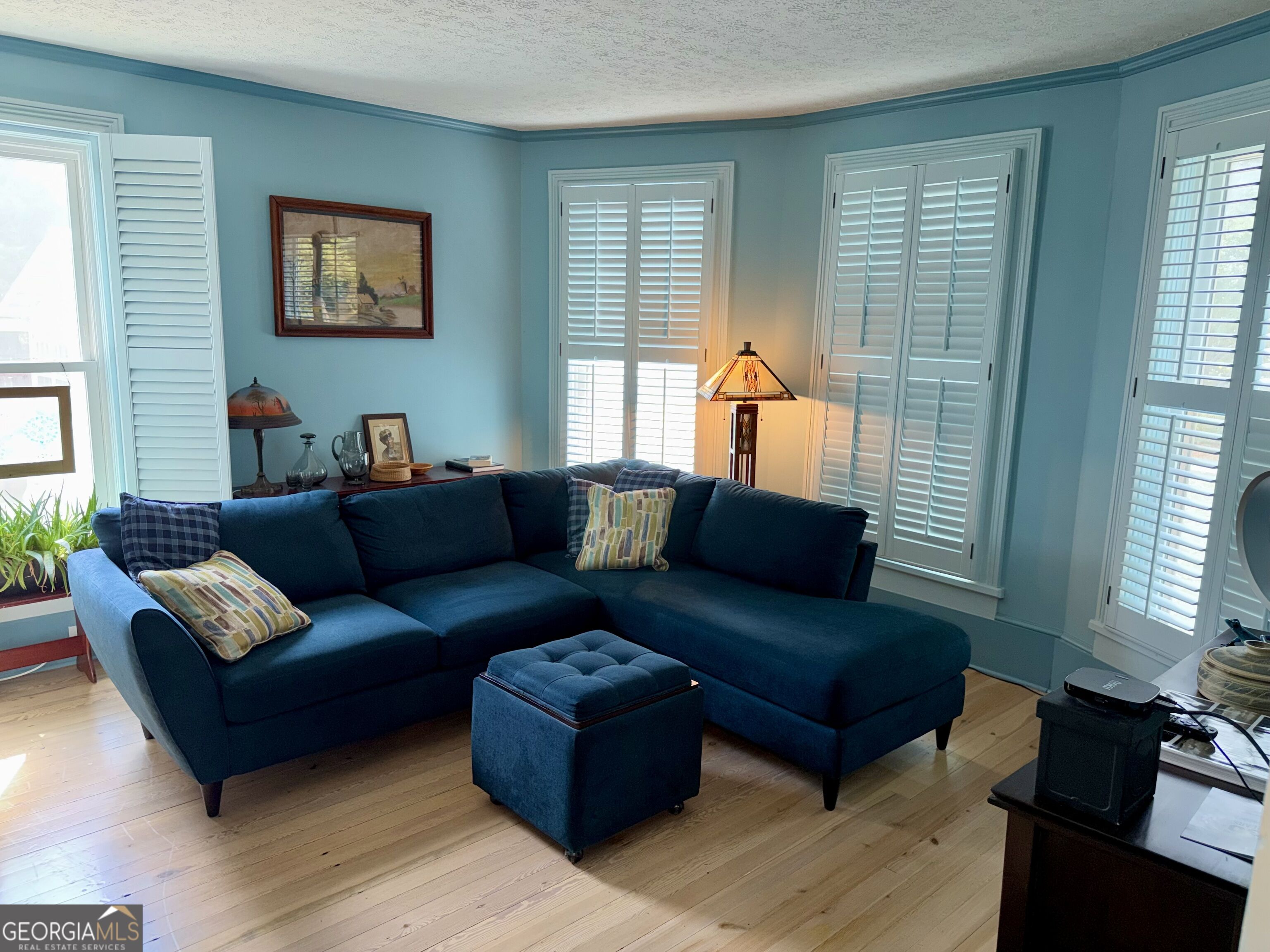 53 Ninth Street Carlton GA 30627