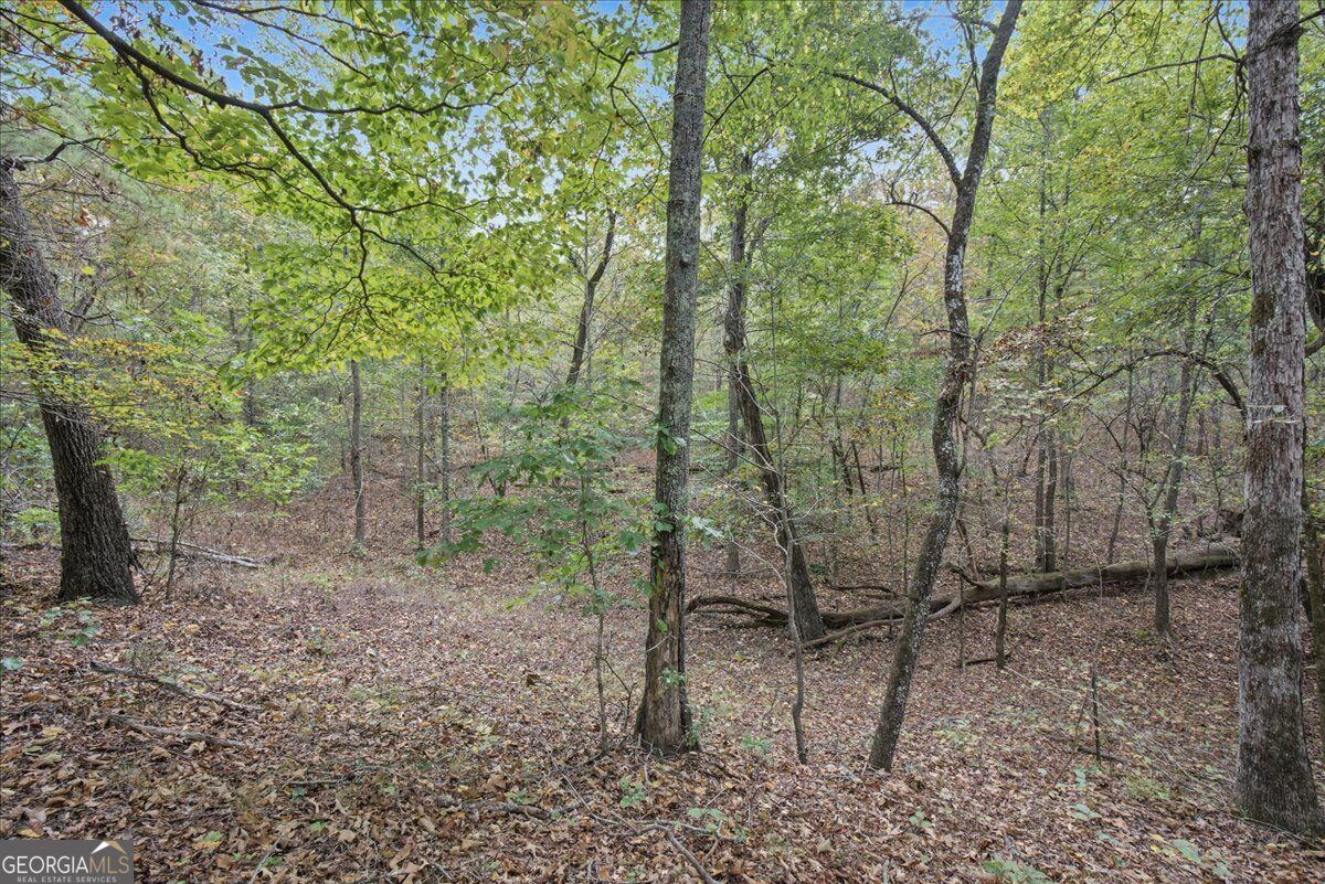 63 Hardin Bridge Road SW Kingston GA 30145