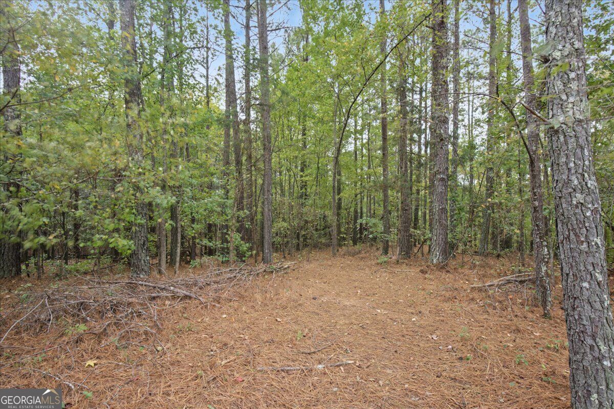 63 Hardin Bridge Road SW Kingston GA 30145