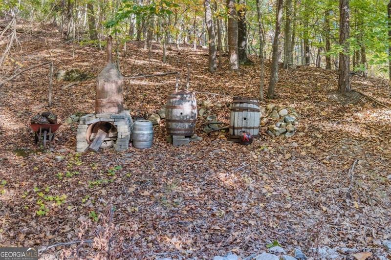 831 Government Farm Road Rockmart GA 30153