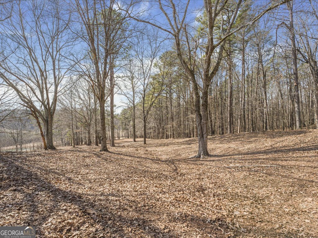 652 Mccready Drive Dallas GA 30157