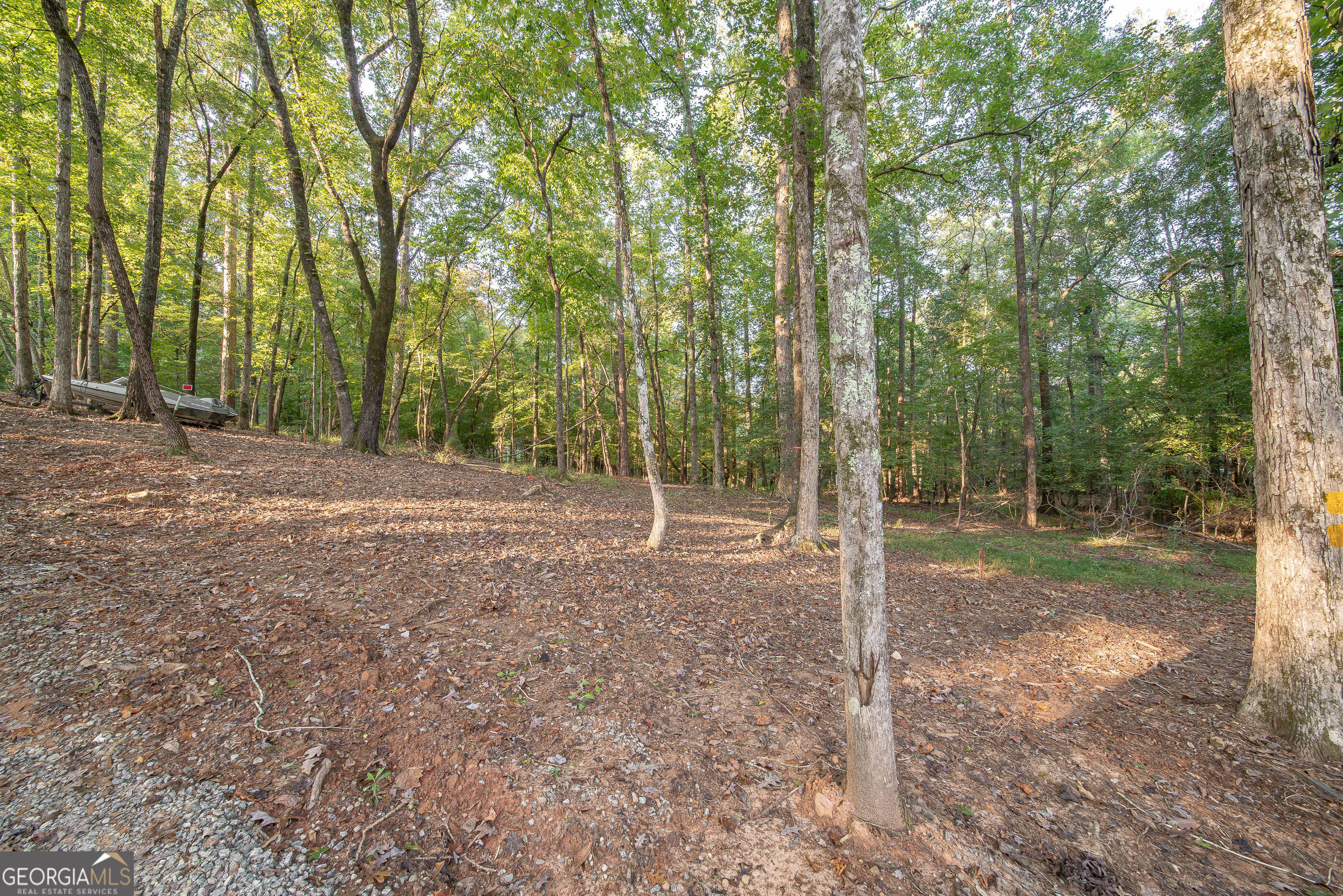265 Dollar Road Hamilton GA 31811