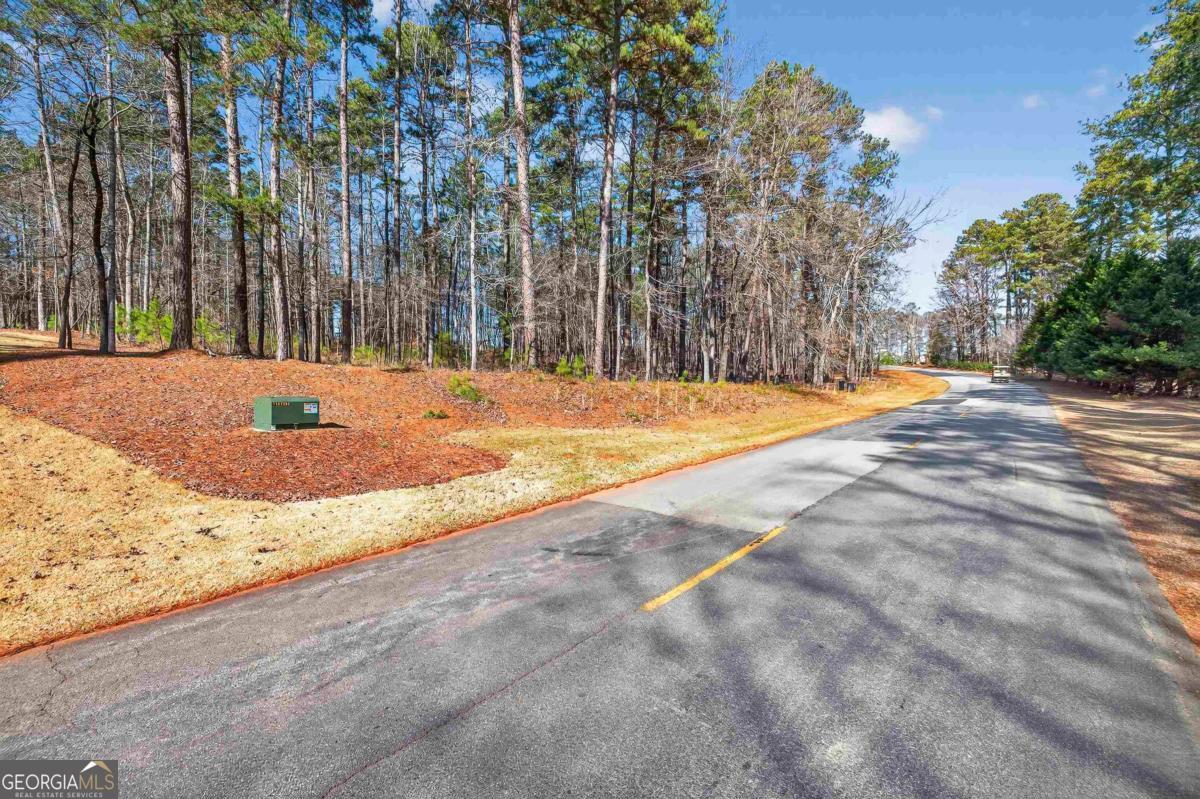 1841 Osprey Poynte Greensboro GA 30642