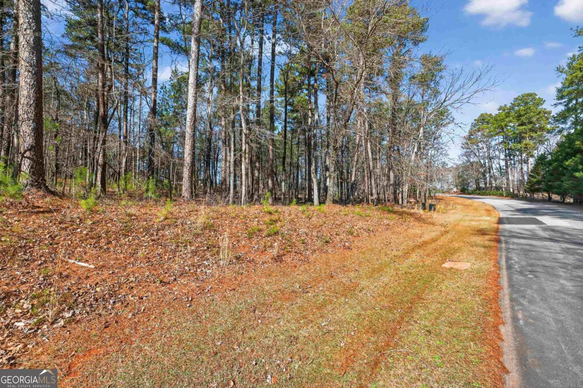 1841 Osprey Poynte Greensboro GA 30642