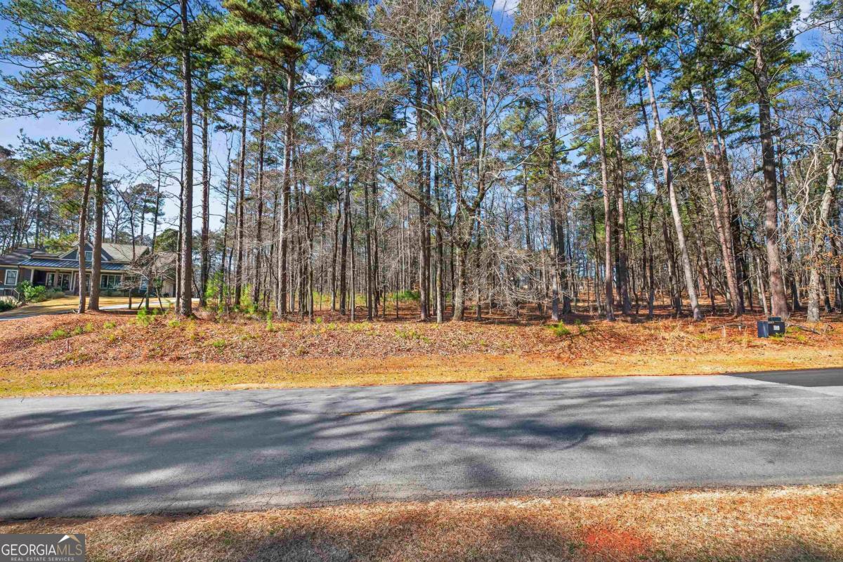 1841 Osprey Poynte Greensboro GA 30642