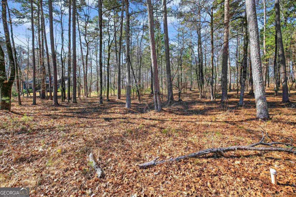 1841 Osprey Poynte Greensboro GA 30642