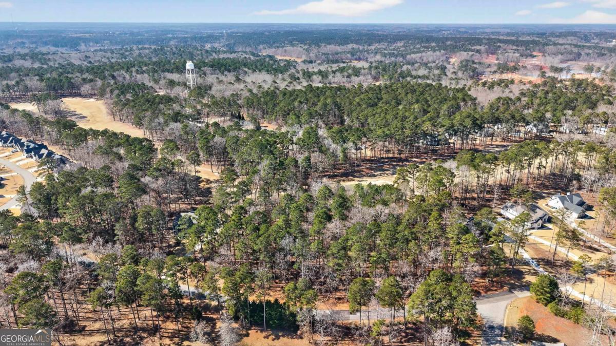 1841 Osprey Poynte Greensboro GA 30642
