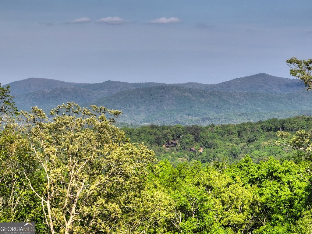 840 Deer Crest Road Blue Ridge GA 30513