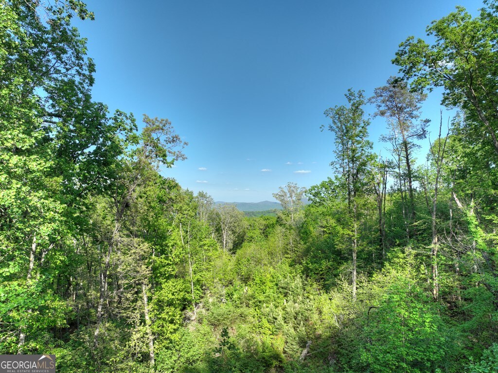 840 Deer Crest Road Blue Ridge GA 30513
