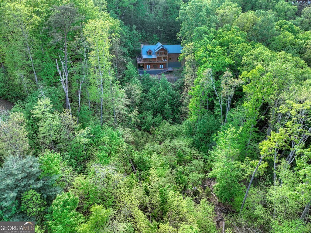 840 Deer Crest Road Blue Ridge GA 30513