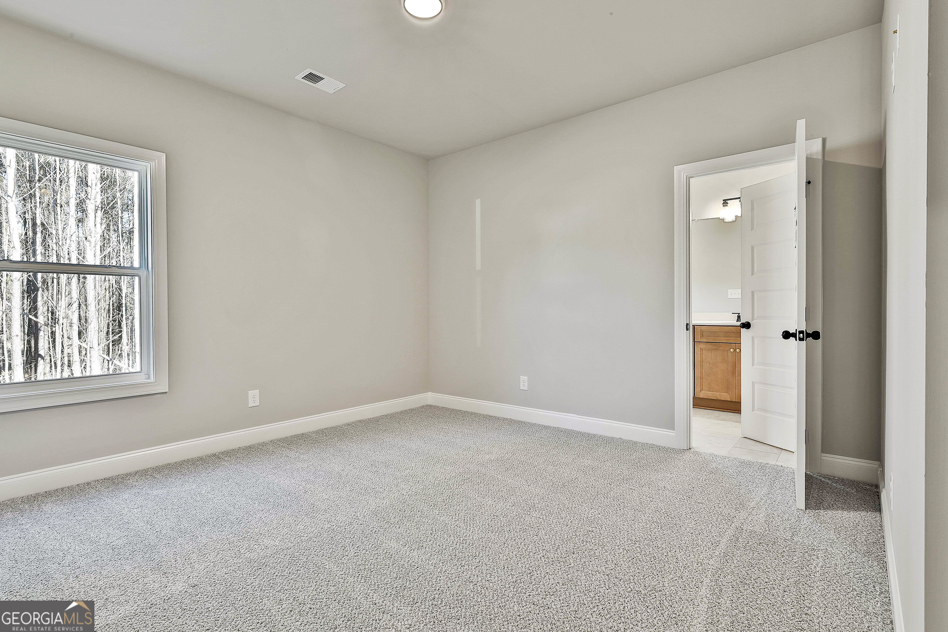 16 Nelson Way Williamson GA 30292