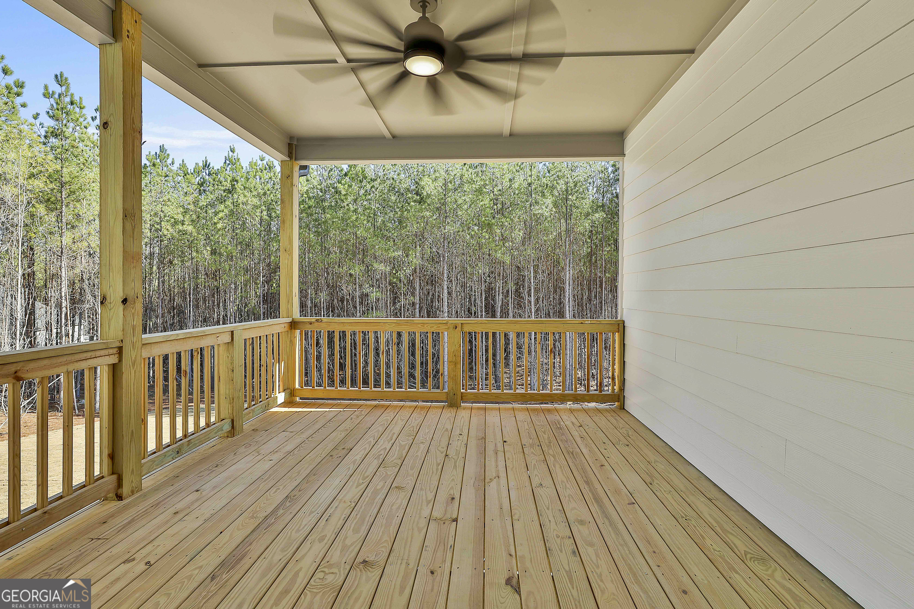 16 Nelson Way Williamson GA 30292