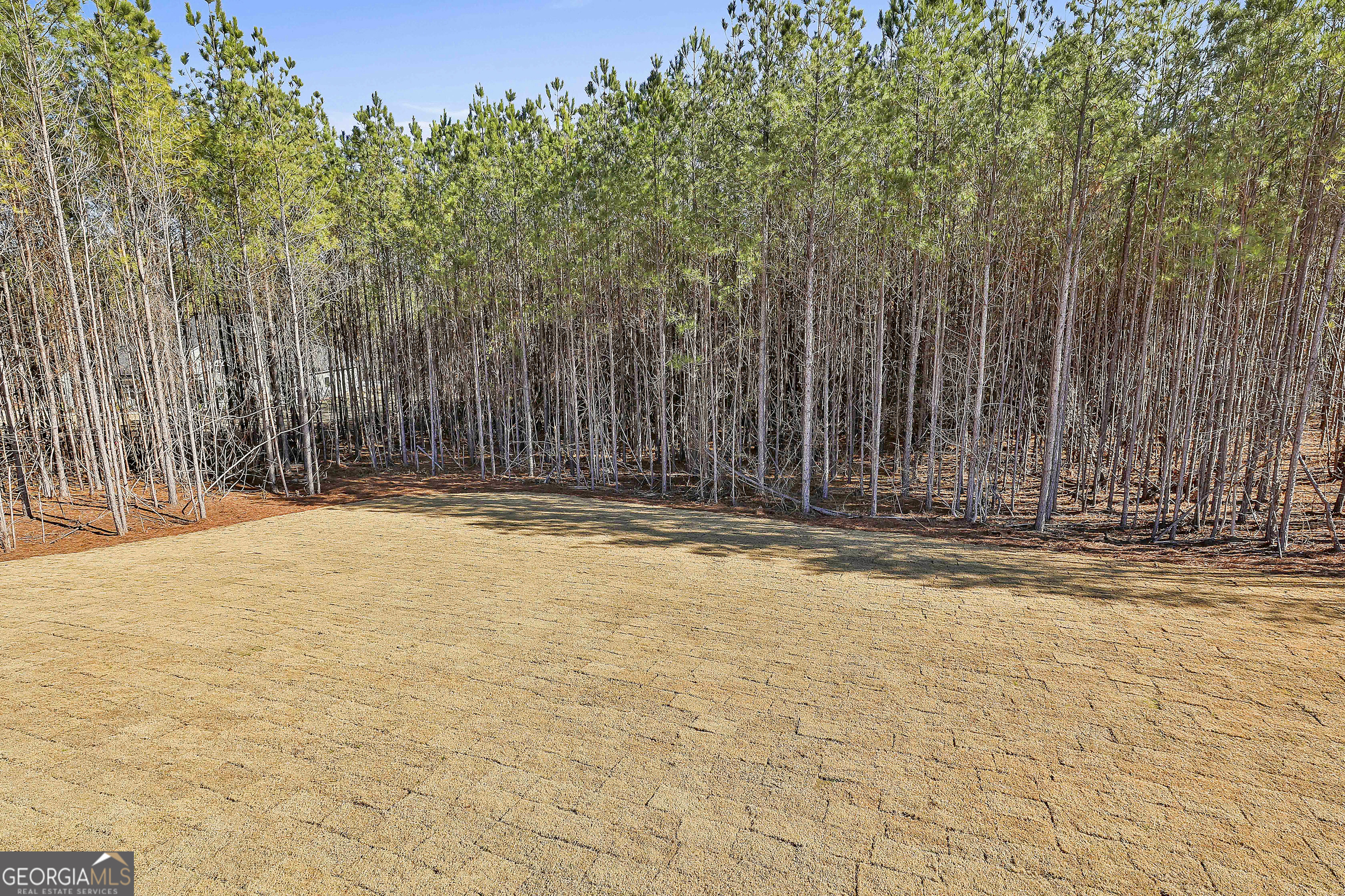 16 Nelson Way Williamson GA 30292