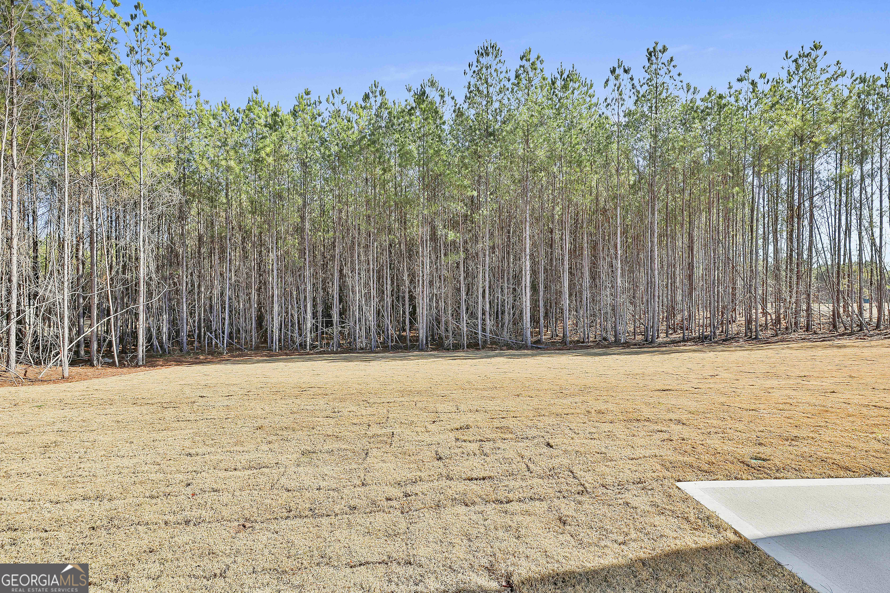 16 Nelson Way Williamson GA 30292
