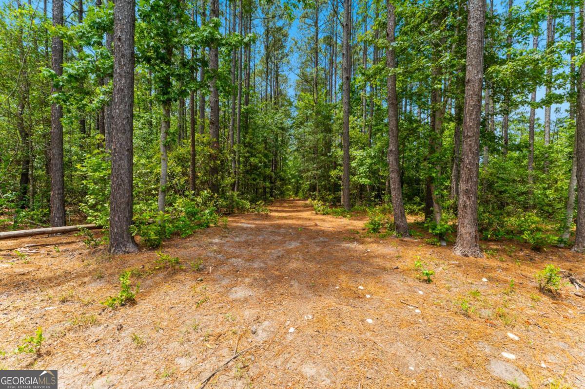 3583 Blue Jay Road Guyton GA 31312