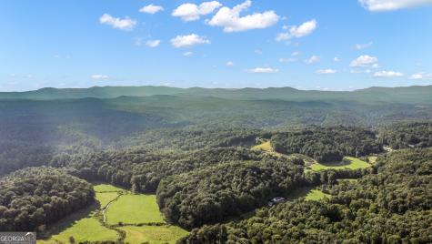 165 Timberwalk Drive Ellijay GA 30540