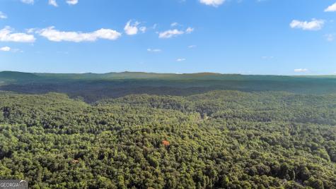 165 Timberwalk Drive Ellijay GA 30540