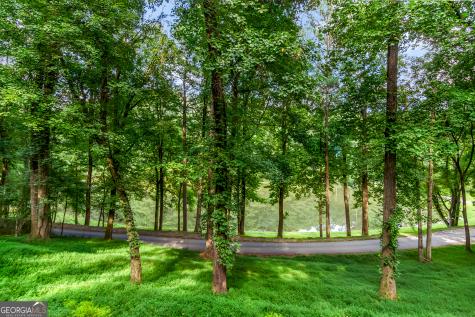 165 Timberwalk Drive Ellijay GA 30540