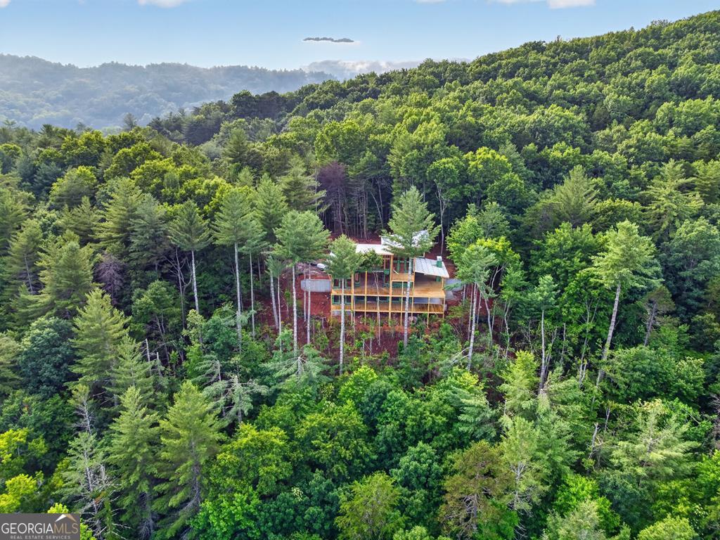 Lot 3c Stanley Creek Road Cherry Log GA 30522