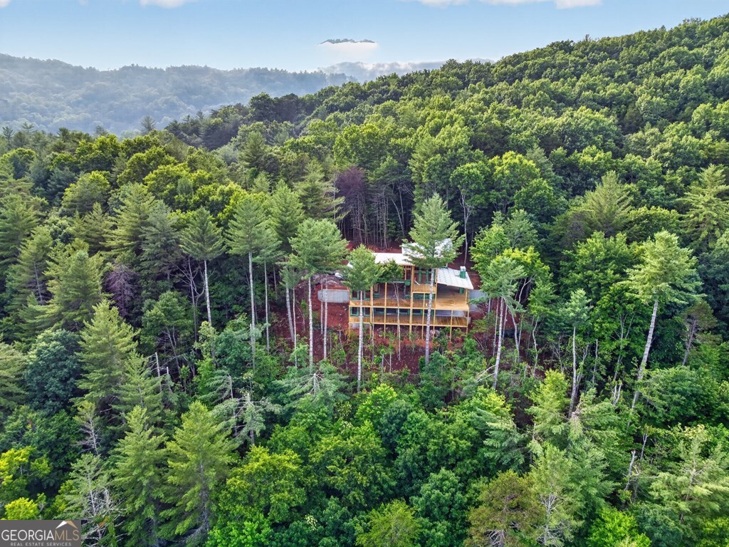 Lot 3c Stanley Creek Road Cherry Log GA 30522