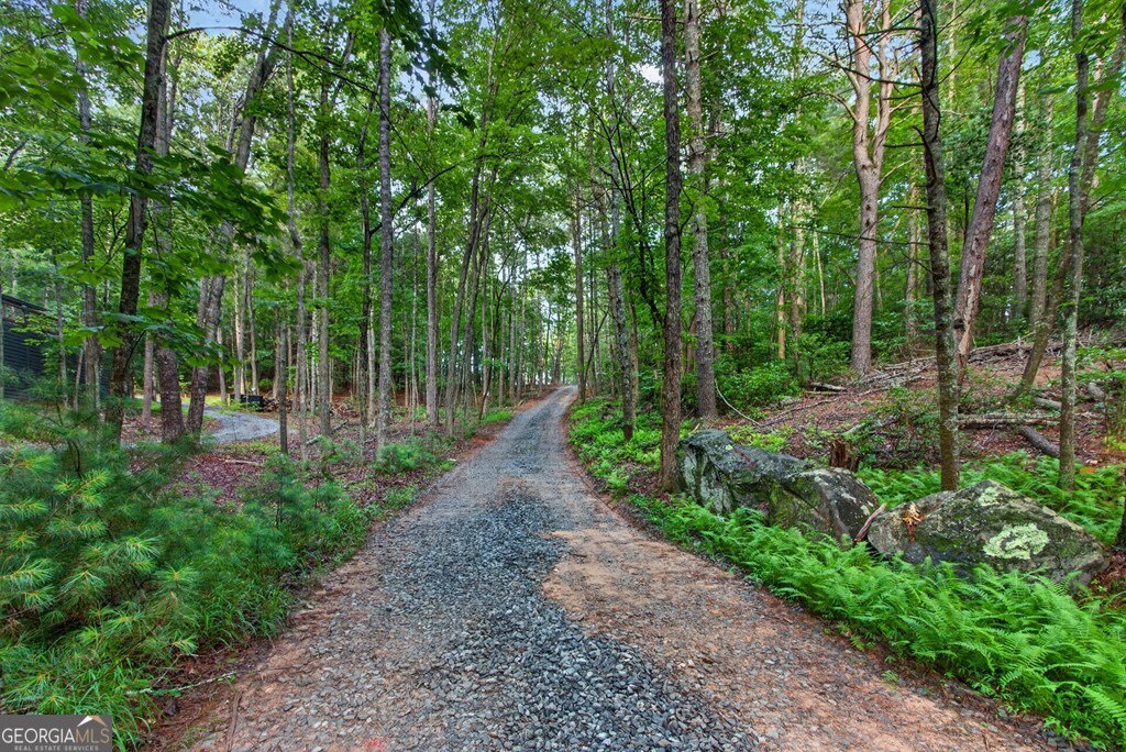 Lot 3c Stanley Creek Road Cherry Log GA 30522