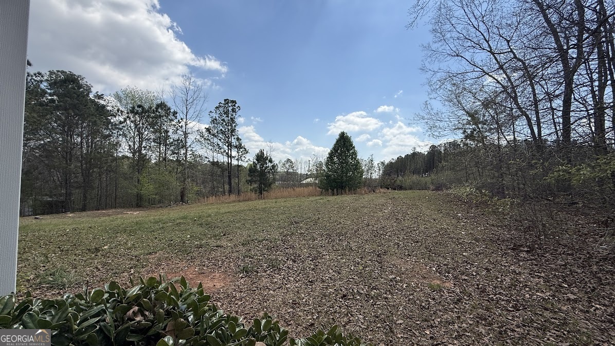 410 Crystal Drive Carrollton GA 30116
