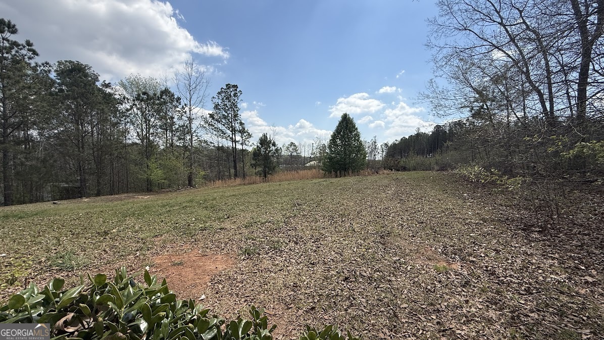 410 Crystal Drive Carrollton GA 30116