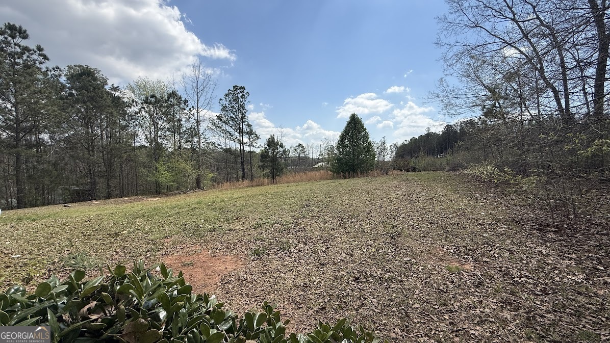410 Crystal Drive Carrollton GA 30116