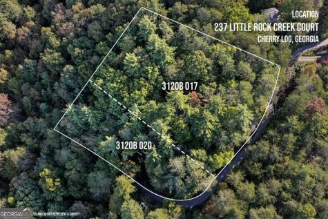237 Little Rock Creek Court Cherry Log GA 30522