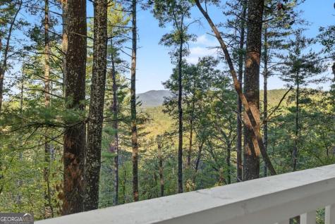 237 Little Rock Creek Court Cherry Log GA 30522