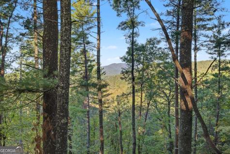 237 Little Rock Creek Court Cherry Log GA 30522