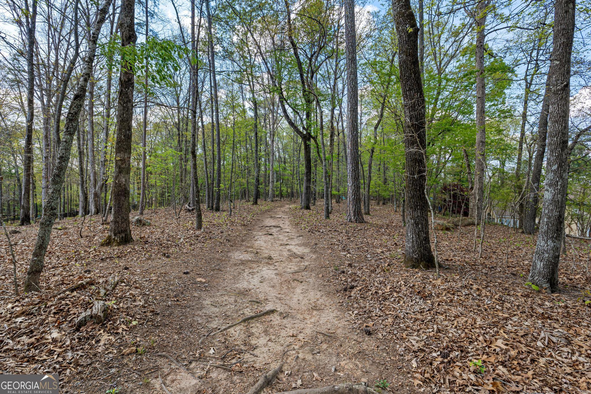 833 Southern Shore Drive Peachtree City GA 30269