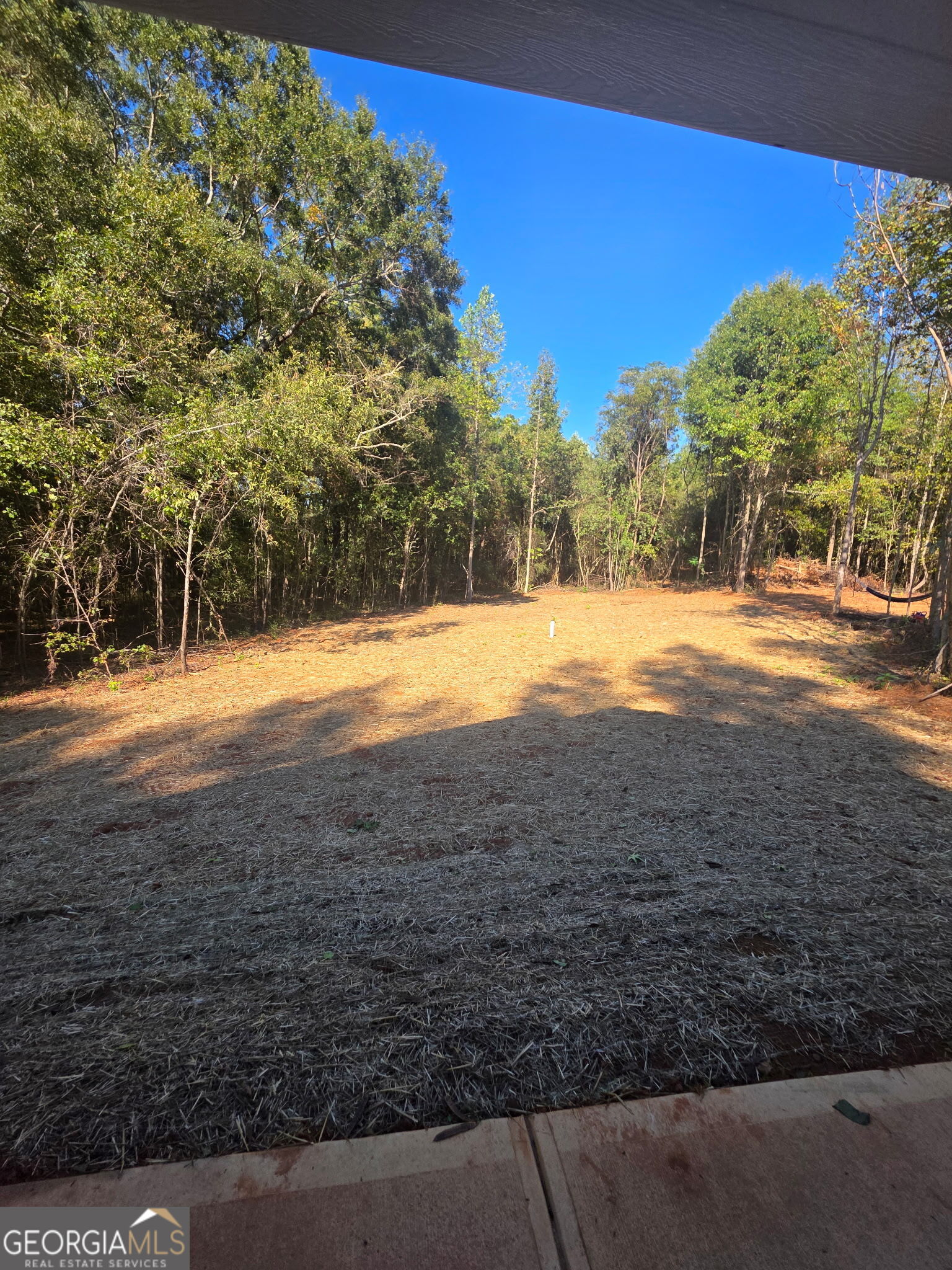 1955 Hollis Street Athens GA 30605