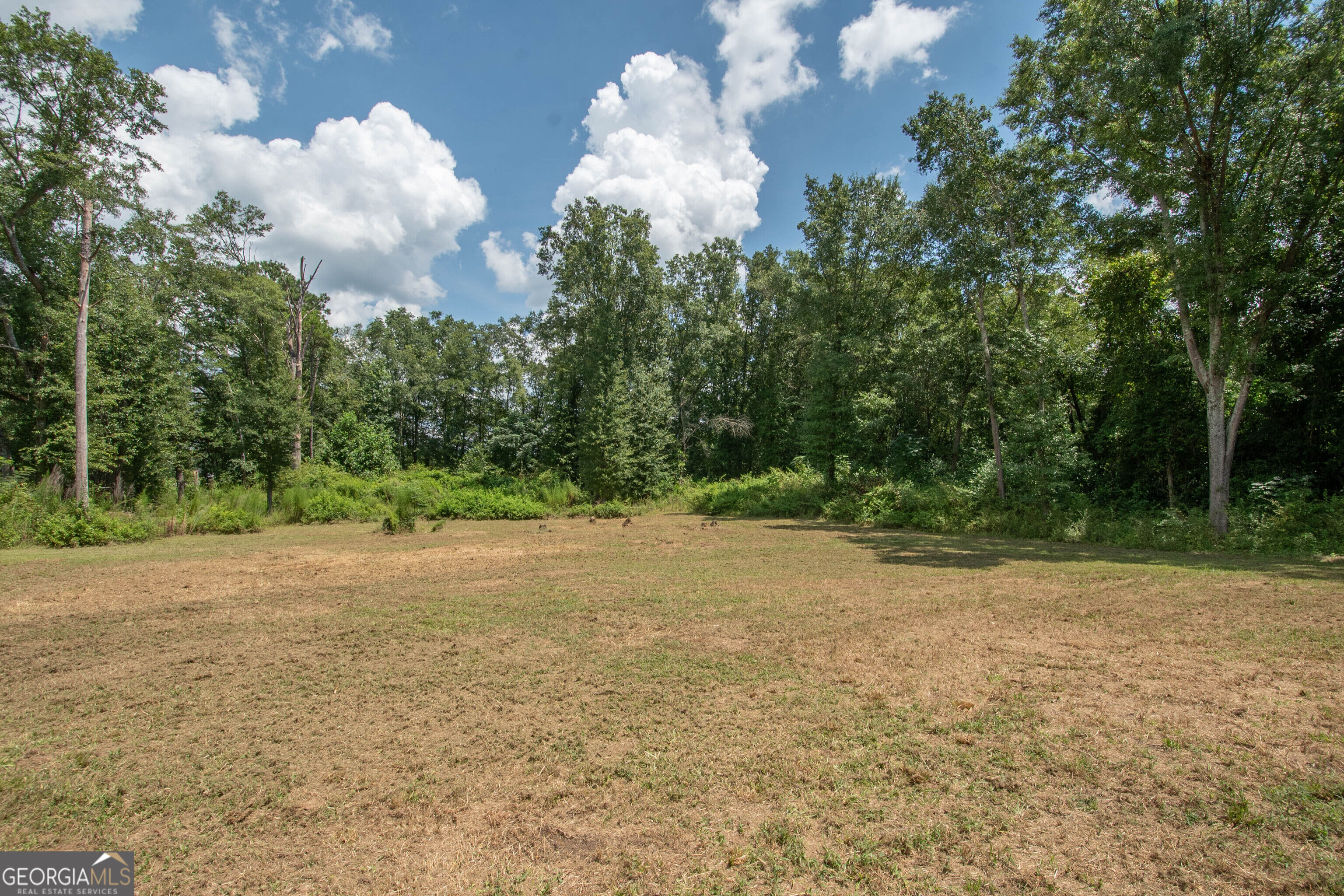 196 Dogwood Lane Woodbury GA 30293