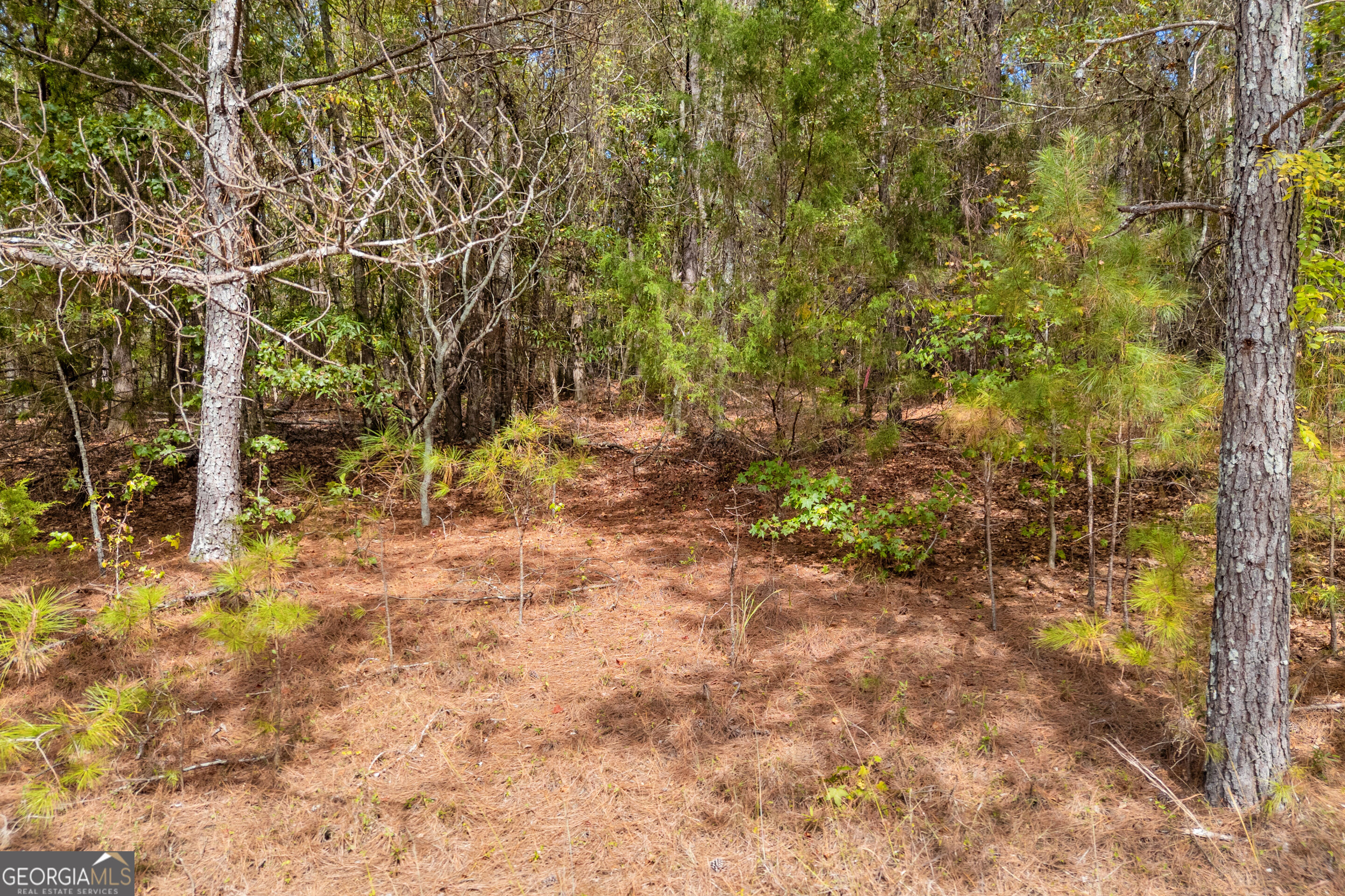 0 Kincaid Cemetery Road Colbert GA 30628