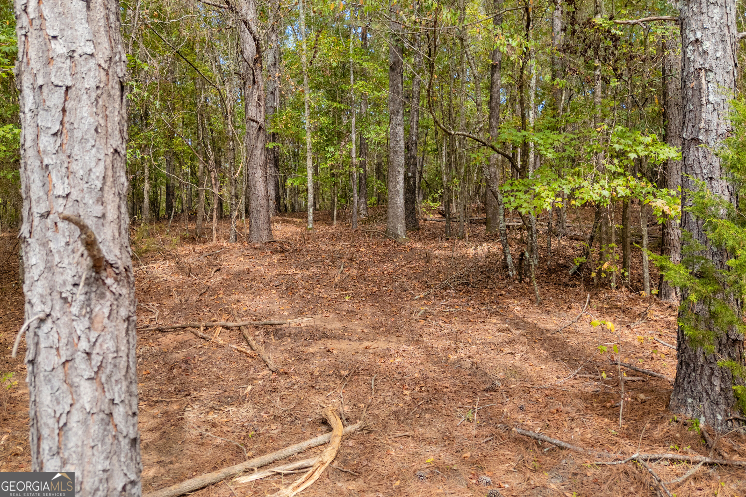 0 Kincaid Cemetery Road Colbert GA 30628