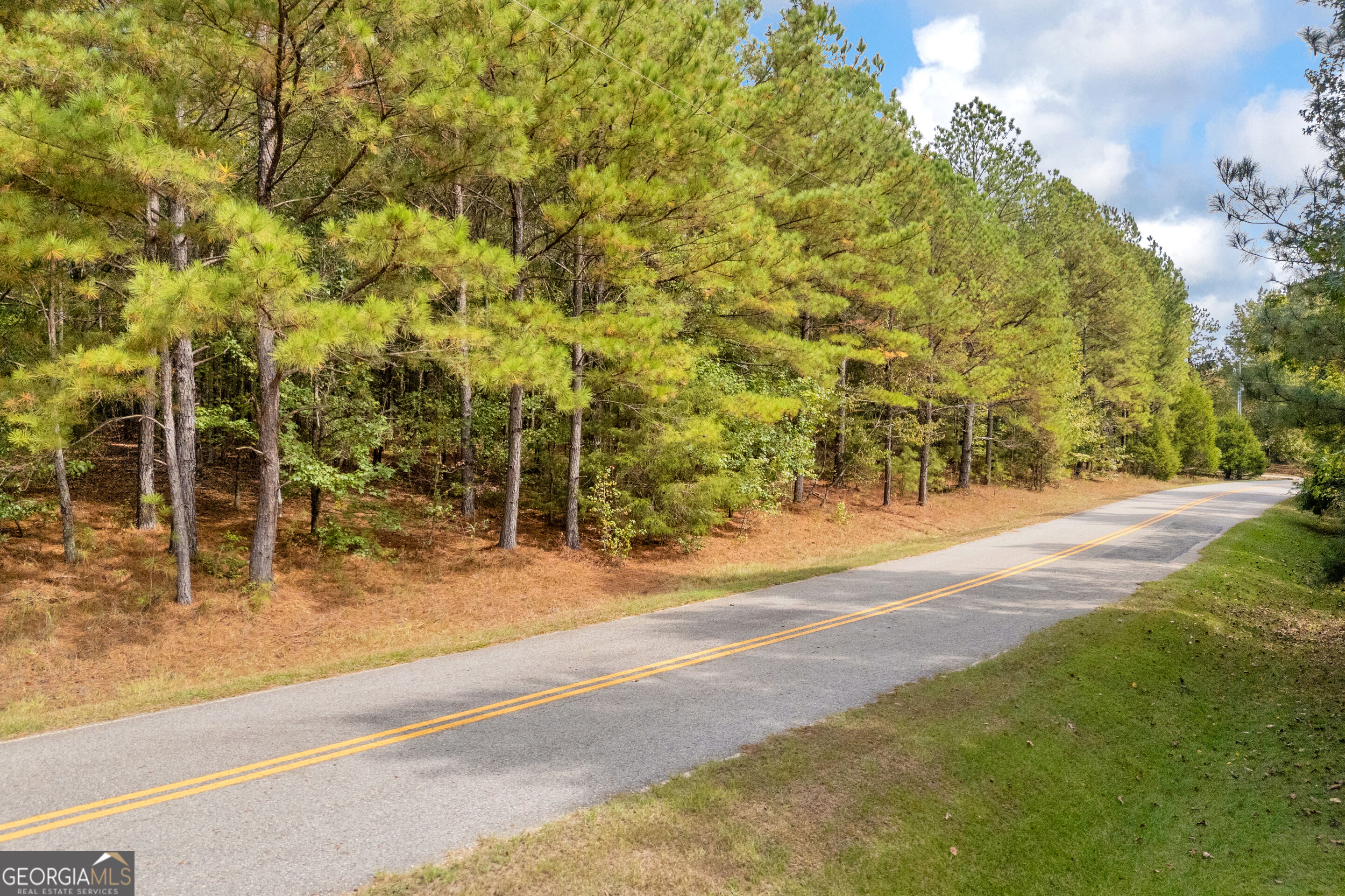 0 Kincaid Cemetery Road Colbert GA 30628