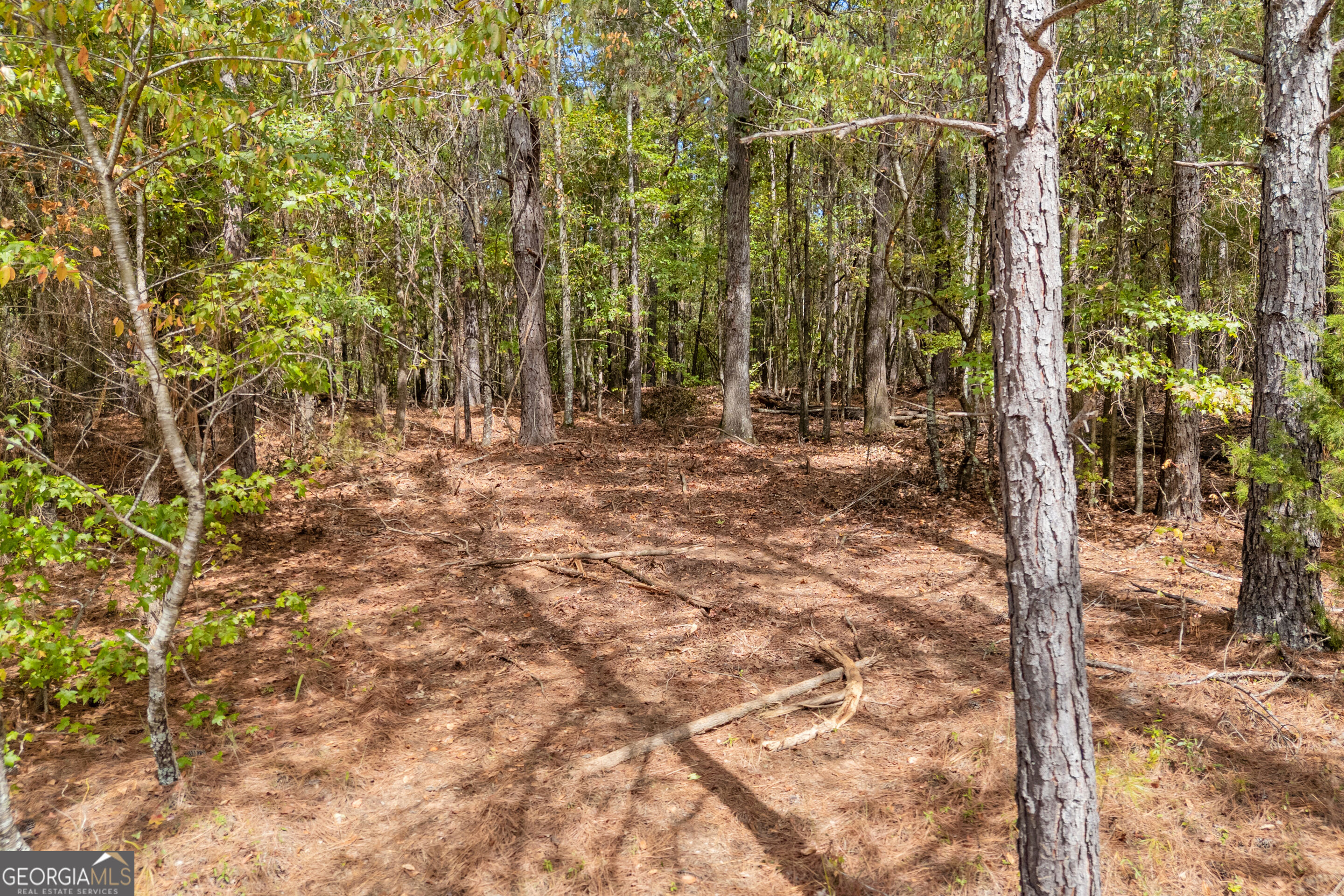 0 Kincaid Cemetery Road Colbert GA 30628