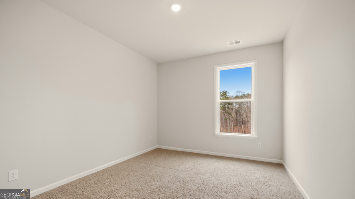 1780 Goodwin Hampton GA 30228