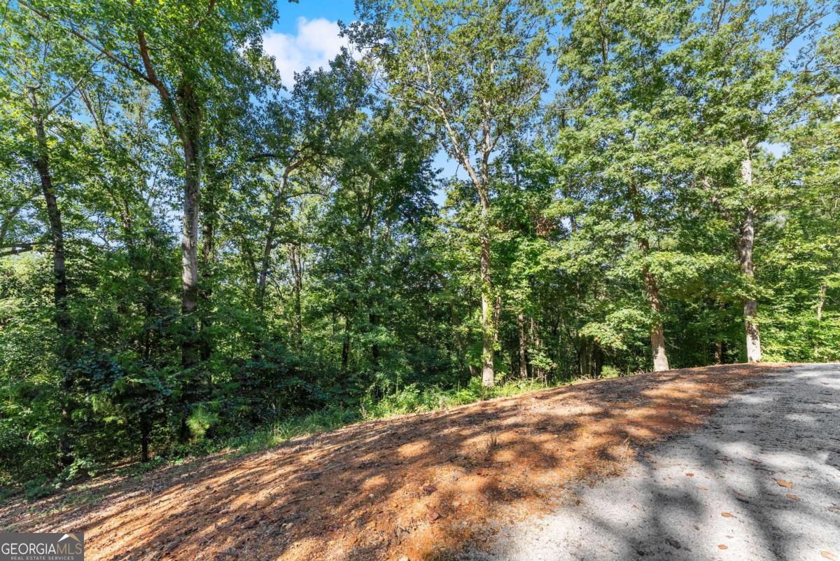 318 Jim Grizzle Road Royston GA 30662