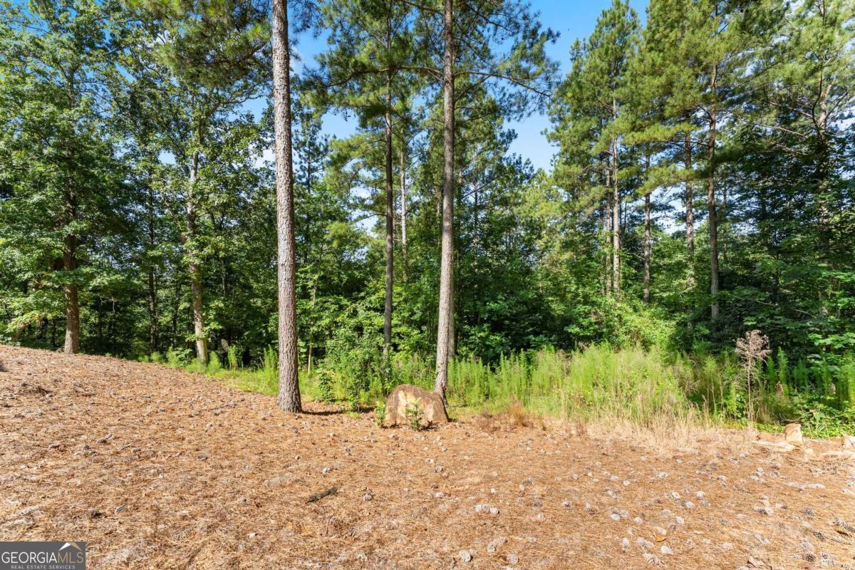 318 Jim Grizzle Road Royston GA 30662
