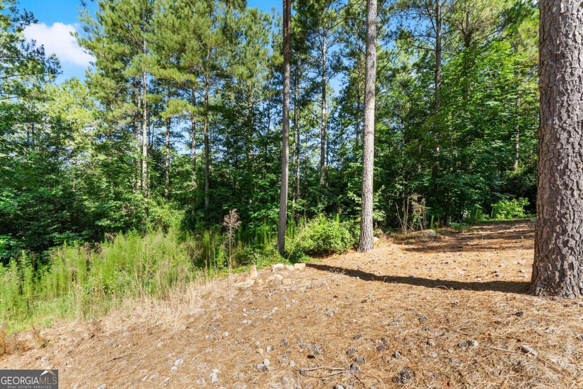 318 Jim Grizzle Road Royston GA 30662