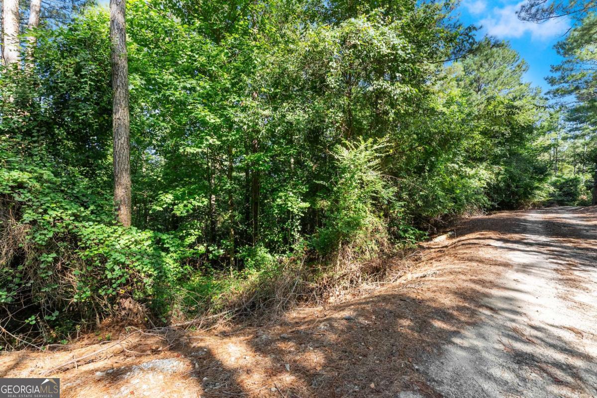 318 Jim Grizzle Road Royston GA 30662