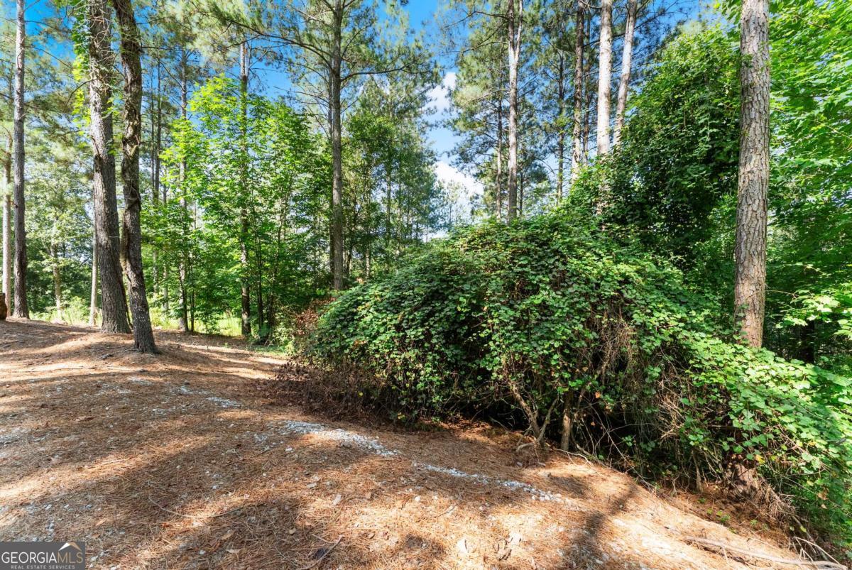 318 Jim Grizzle Road Royston GA 30662