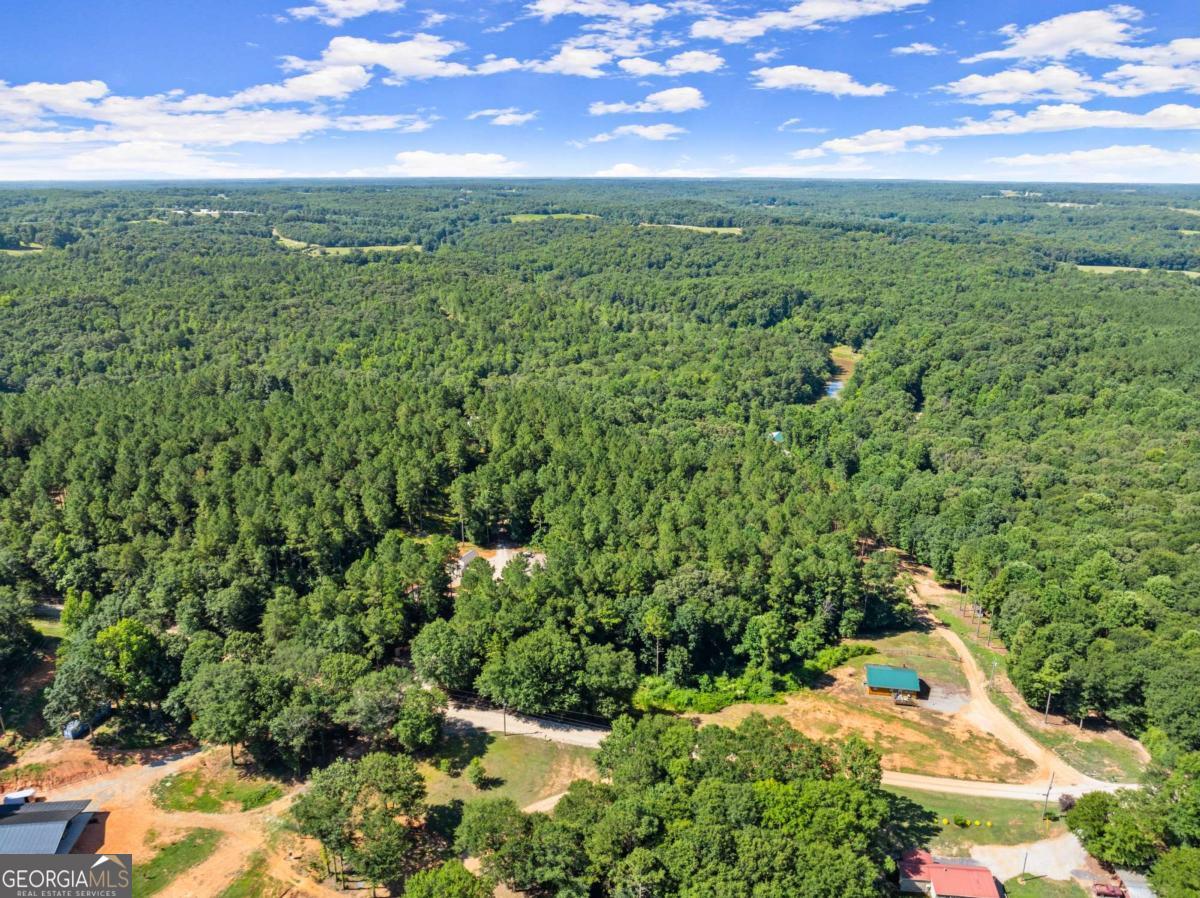 318 Jim Grizzle Road Royston GA 30662