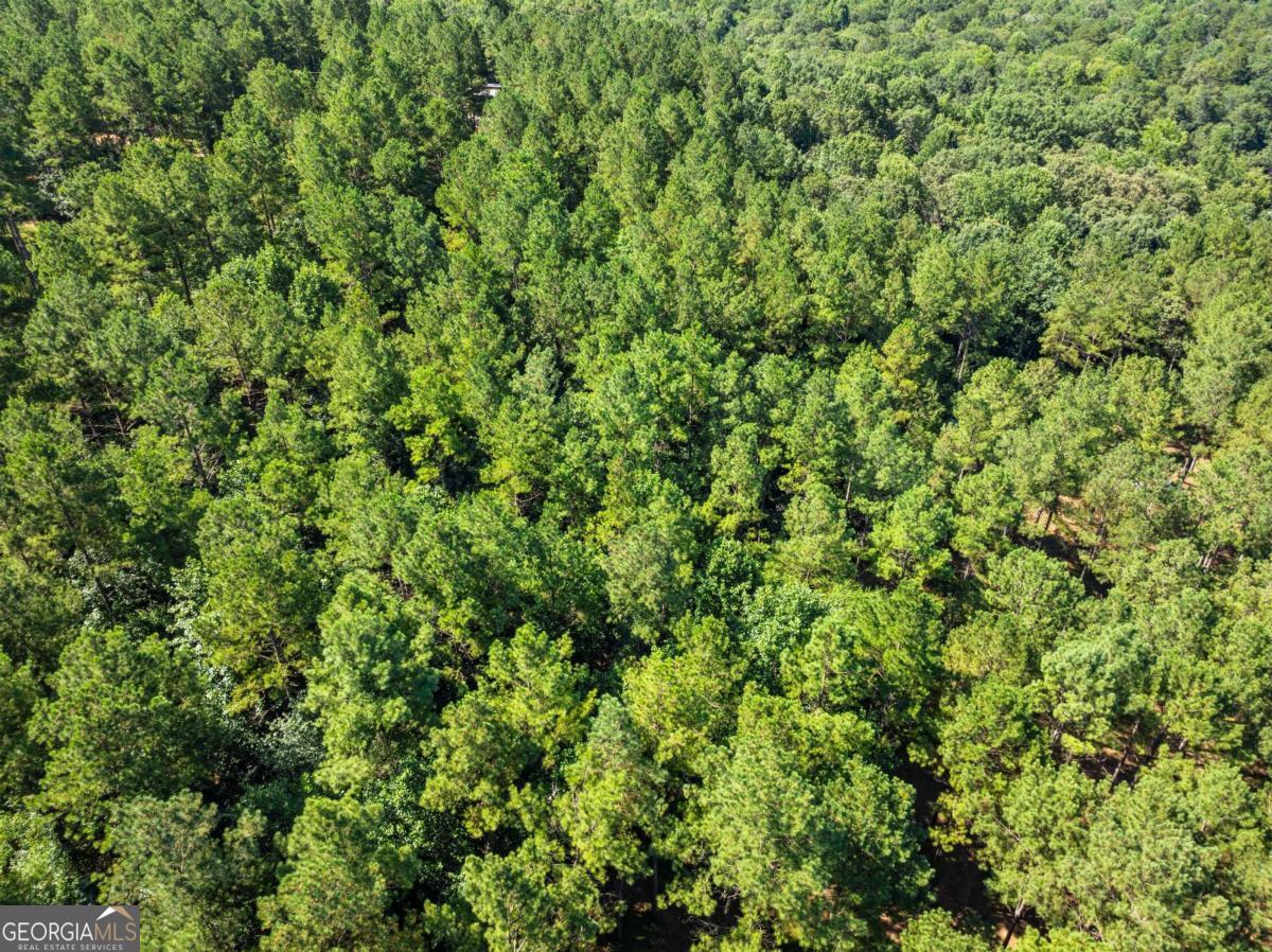 318 Jim Grizzle Road Royston GA 30662
