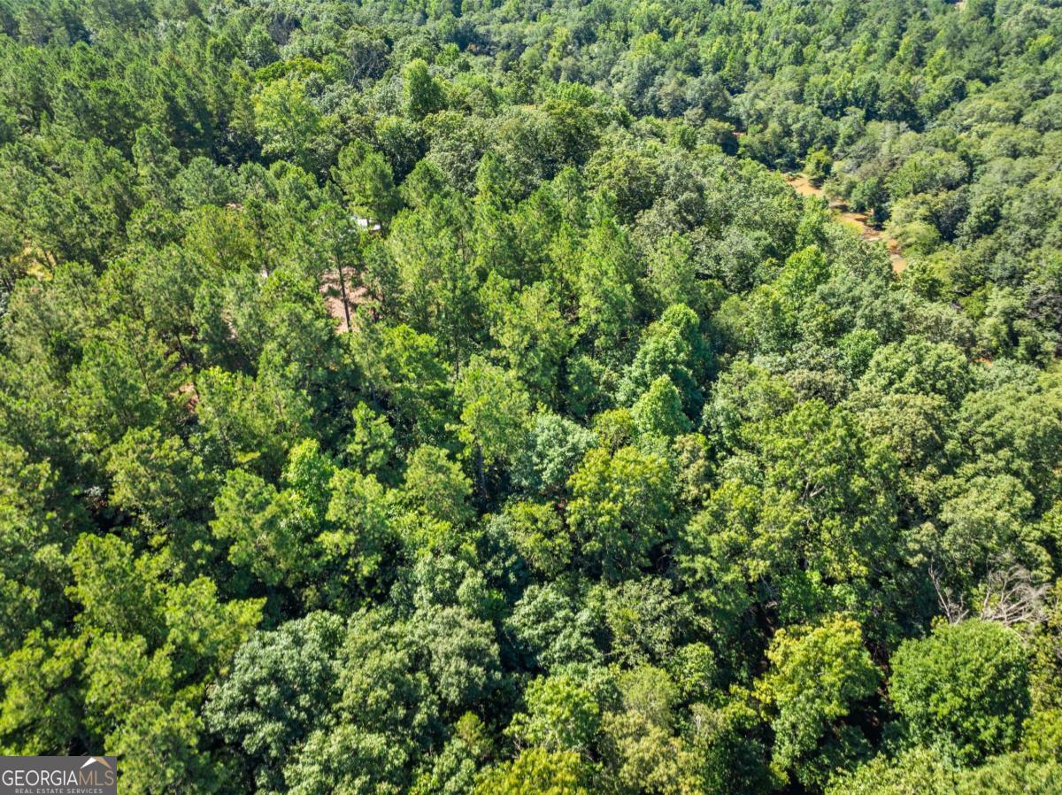 318 Jim Grizzle Road Royston GA 30662