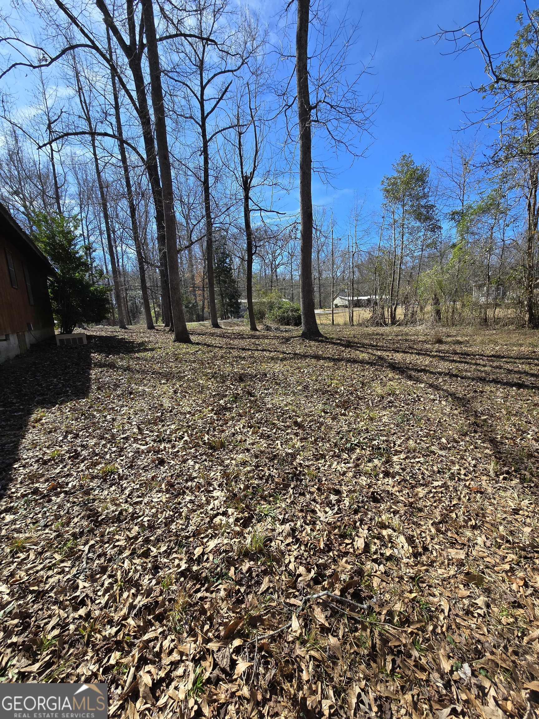 166 Lakeshore Drive N Ivey GA 31031